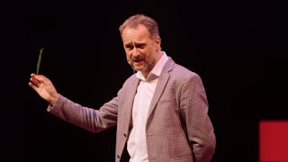 Trees, People, and Interconnection: We're All Made From Relationship | David Haskell | TEDxNashville