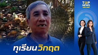 อากาศร้อนจัด ทุเรียนวิกฤต ออกผลผลิตแค่ 10% คาดราคาพุ่งแน่ปีนี้ | TOPNEWSTV