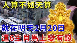 人算不如天算！就在明天2月20日，這6生肖馬上變有錢！乞丐也能發大財！【般若明燈】#生肖 #風水 #運勢 #財運