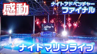 感動のナイトマリンライブへGO🐬 Adventure World Night Marine Live August 21,2022 Night Adventure Final #アドベンチャーワールド