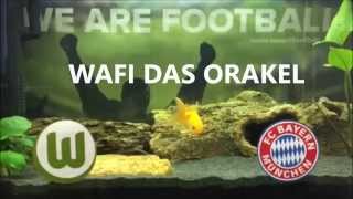 WAFI DAS ORAKEL tippt VFL Wolfsburg gegen den FC Bayern München 01/15