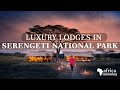 Top 5 Luxury Lodges in Serengeti National Park | Tanzania Safari | Africa Incoming