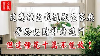 【植物風水】這幾種盆栽擺放在客廳，等於把財神請進門，但這種花千萬不能放！