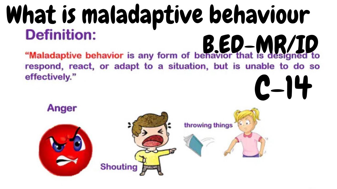 What Is Maladaptive Behaviour Definition Types Youtube What Is Maladaptive Behaviour Definition Types Youtube