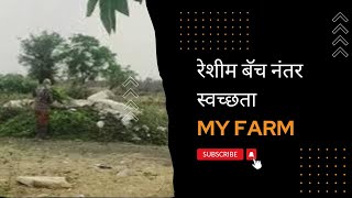 रेशीम बॅच संपल्या नंतर शेड स्वछ करताना #silkworm #agriculture #sericulture #cocoon #रेशीम #शेती