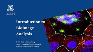 Introduction to BioImage Analysis