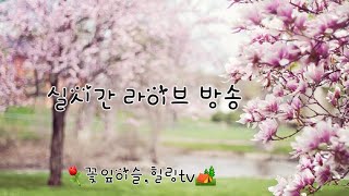 🩷제27회🩷⚘️꽃잎이슬tv⚘️(수,저녁7시)님의 라이브 방송 #일반인커버 #숨은명곡찾기 #가수홍보채널 #신곡 #명곡 #7080 #발라드 #허스키 #가수아님 #숨은명곡 #추천 #홍보