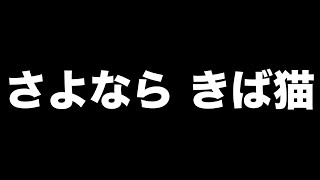 きば猫からの報告があります【サンリオキャラクターズ ミラクルマッチ】