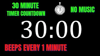 30 Minute Workout Countdown Timer with 1 Minute Interval Beeps | NO MUSIC