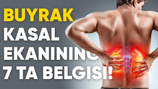 Buyrak kasalligining 7ta belgisi