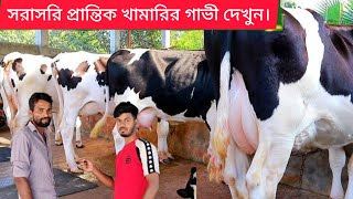 প্রান্তিক খামারীদের কাছে থেকে যে ভাবে গাভী সংগ্রহ করে মারুফ ভাই!সেরা সেরা গাভী নিয়ে হাজির মারুফ ভাই।