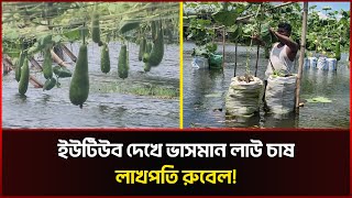 ইউটিউব দেখে ভাসমান লাউ চাষ করে লাখপতি রুবেল! | Floating gourd Cultivation | Youtube | Sonali News