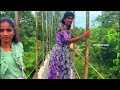 kunjukkulam குஞ்சுக்குளம் மன்னார் mannar videobudstamil