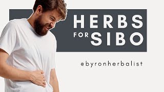 Herbs for Hydrogen Dominant SIBO: My Top Picks