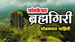 नाशिक जिल्ह्यातील ब्रह्मगिरी पर्वत| त्र्यंबकेश्वर| थोडक्यात माहिती| brahmagiri fort| trimbakeshwar|