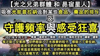 【光之兄弟群體】《吸食光能普拉納及對某些食品、藥品的排斥》【昴宿星人】《守護頻率與感受狂喜》每次吸入空氣時，你們都吸入了光與愛的粒子，都吸入了普拉納。這是你們的食物，是你們精微體的食物。