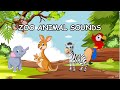 Zoo Animal Sounds Song: Learn Animal Sounds for Kids | Nursery Rhymes for Toddlers | Learn English