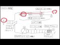 【高校生物 25】遺伝子【dnaの複製】を宇宙一わかりやすく