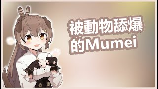 【Vtuber中文】被動物舔爆的Mumei【Hololive-EN/Nanashi Mumei/七詩ムメイ】