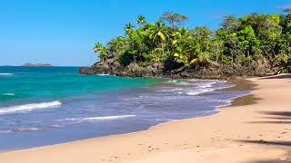Olas del Paraíso - Playa Hermosa con Sonidos Relajantes del Mar sin Música