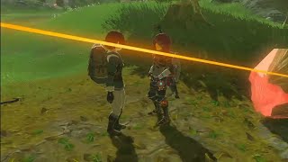 TROLLING The Yiga Went WRONG...