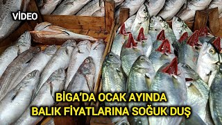 Çanakkale Biga’da ocak ayında balık fiyatlarına soğuk duş