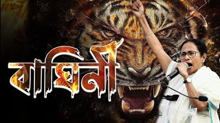 বাঘিনী - মমতা ব্যানার্জি || Baghini - Mamata Banerjee | Bangla News 4u