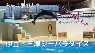 ちゃま家の人々030 伊豆・三津シーパラダイスのショー🐬🦭😆