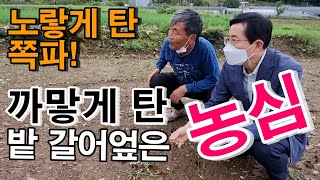 [박경귀가 간다] 쪽파밭을 갈아 엎은 이유! 누렇게 탄 도고쪽파, 새까맣게 탄 농심_ 산성비의 기습?