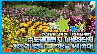 수도권매립지 야생화단지 개방 기념행사, 그 현장을 찾아가다!