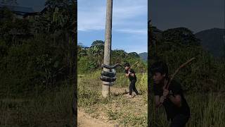 he was forced to climb a tree by a snake #snake #youtubeshorts #nature