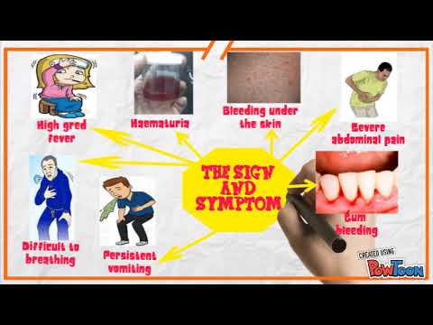 Dengue Hemorrhagic Fever Dengue Hemorrhagic Fever