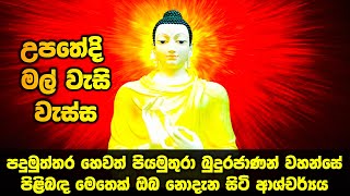 උපතේදි මල් වැසි වැස්ස පදුමුත්තර බුදුරජාණන් වහන්සේගේ විශ්මිත ආනුභාවය