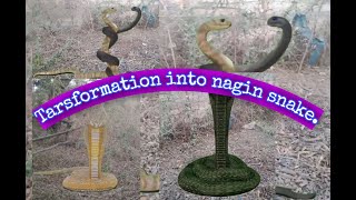 #Transformation into Nagin snake#Snake dance#Nagin 2 snake#nagin 1 snake