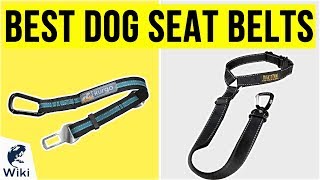 10 Best Dog Seat Belts 2020