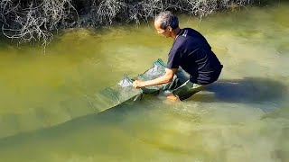 Follow The Farmer's Footsteps To Harvest Fish Traps