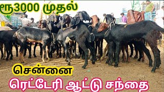 Retteri goat market|சென்னை ரெட்டெரி ஆட்டு சந்தை, நாட்டு ஆடு, செம்மறி ஆடு, நெல்லூர் ஆடு,கிடைக்கும்