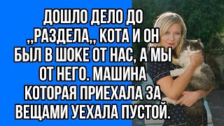 дошло дело до ,,раздела,, кота и он был в шоке от нас, а мы от него. машина которая приехала за...