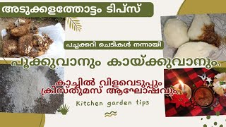 പച്ചക്കറി ചെടികൾ നന്നായി പൂക്കുവാനും കായ്ക്കുവാനും. | അടുക്കളത്തോട്ടം ടിപ്സ് | Kitchen garden tips🌱