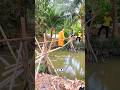 JEMBATAN BAMBU#shorts #videoshorts #viral