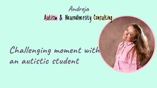 Challenging moment with an autistic student, Andreja Stefulj