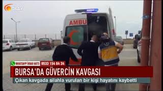 Bursa'da güvercin kavgası