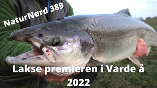 NaturNørd 389. Lakse premieren i Varde å 2022.!!!!!