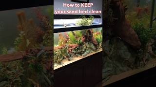 The EASIEST way to filter aquasoil out of sand for a clean aquascape