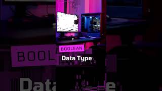 JavaScript Data Types #javascript #programming #datatypes
