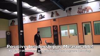 Alpha Dog Training Australia - 4 Day Fast-Track Course