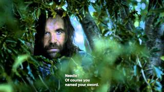 Lots of People Name Their Swords!