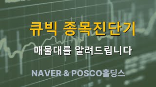 큐빅 종목진단기_매물대 [NAVER \u0026 POSCO홀딩스]