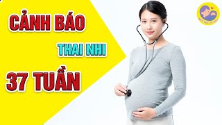 🍀[CẨM NANG MẸ BẦU] - Quá Trình Hình Thành Và Phát Triển Của Thai Nhi Tuần Thứ 37 Mẹ Bầu Cần Biết