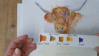 Highland Cow watercolour tutorial